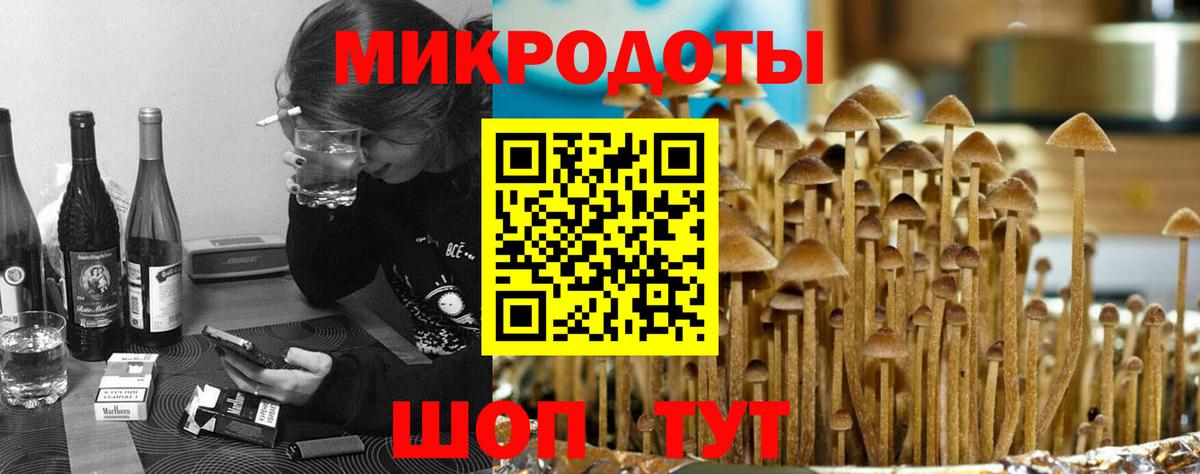 Чусовой  Галлюциногенные грибы Cubensis  Вход с VPN 